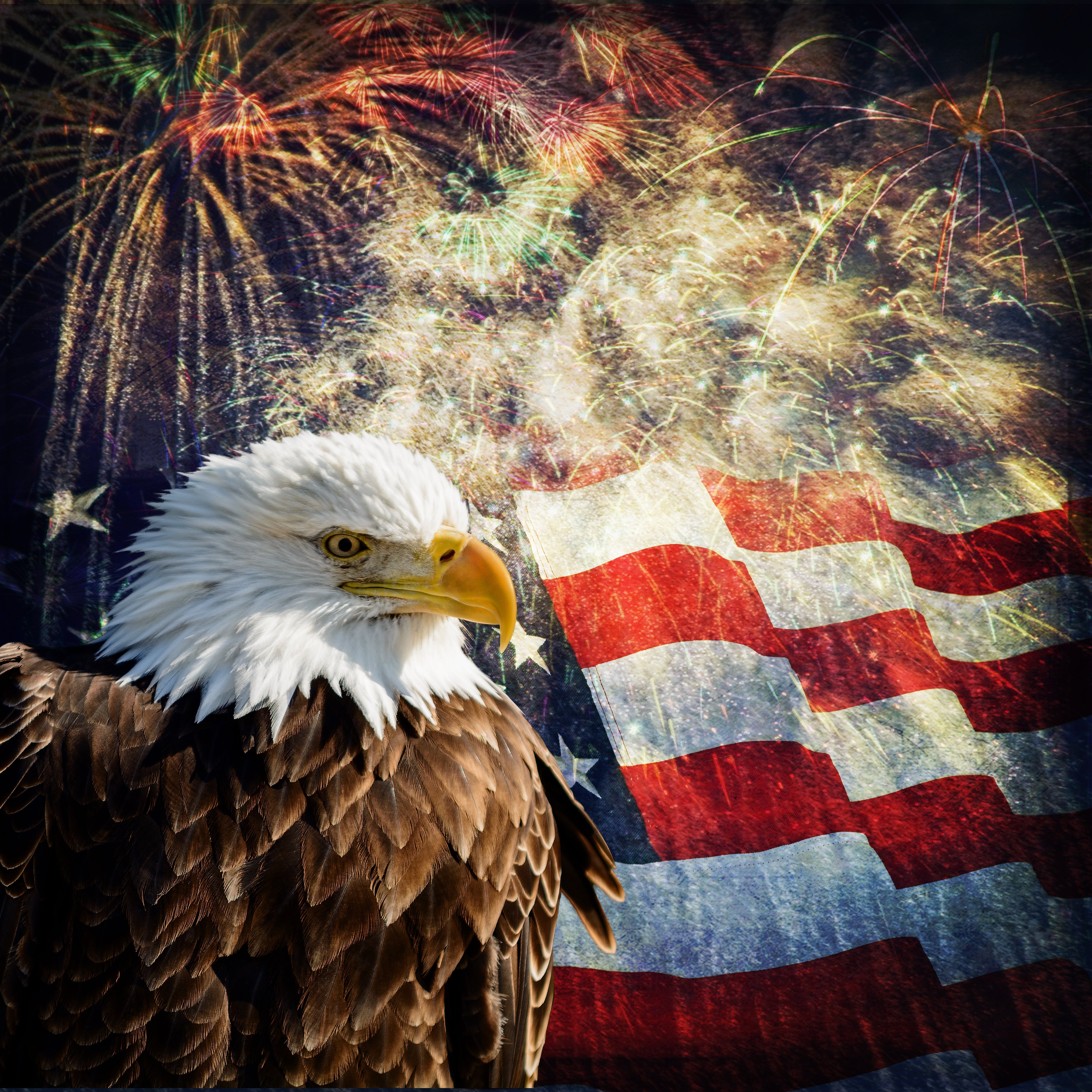 Apparently These Are The Least And Most Patriotic States In 2026 - AOL