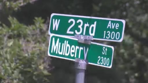 One dead, one in custody in Pine Bluff shooting - AOL
