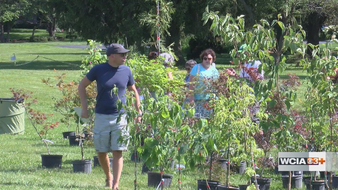 Community Spotlight: 2026 Champaign-Urbana Garden Walk - AOL