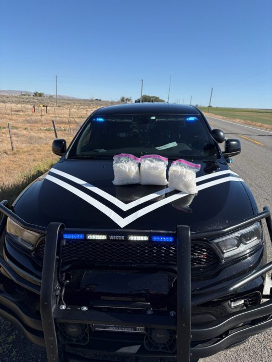 Over 11 pounds of meth seized in Twin Falls traffic stop - AOL