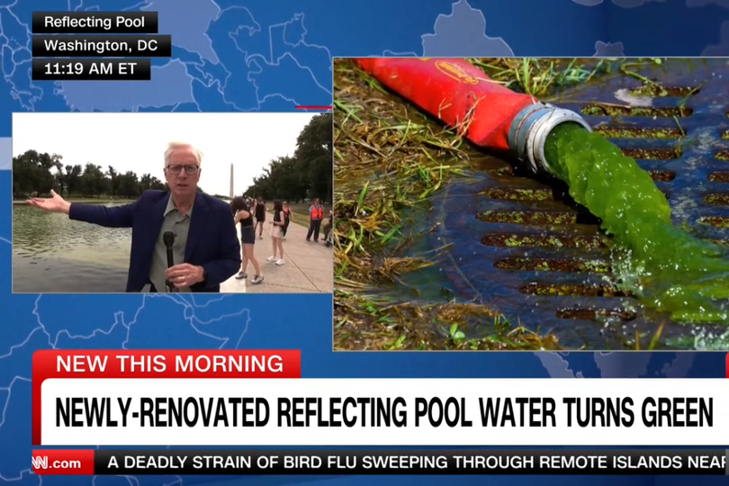 CNN issues update on 'gross' reflecting pool as 'Chief Algae ...