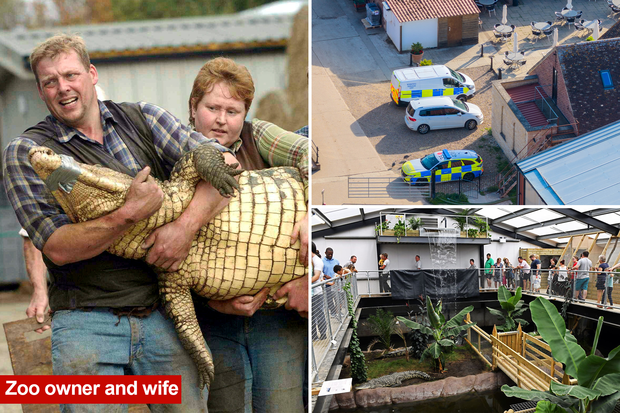 Carers Accused of Being on Their Phones as Boy Was Thrown Into Crocodile Pit Now Under Investigation...