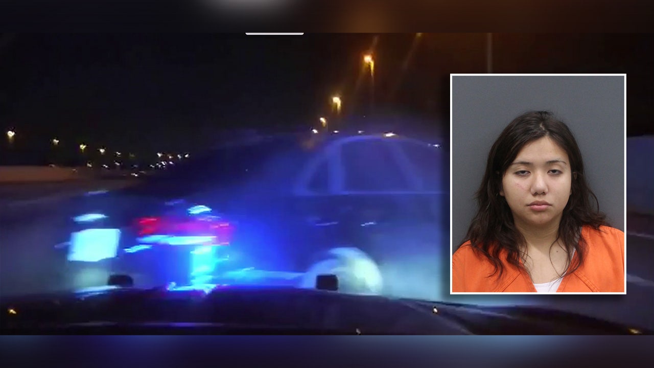 19-year-old charged with DUI after 120 mph chase through Tampa: FHP - AOL