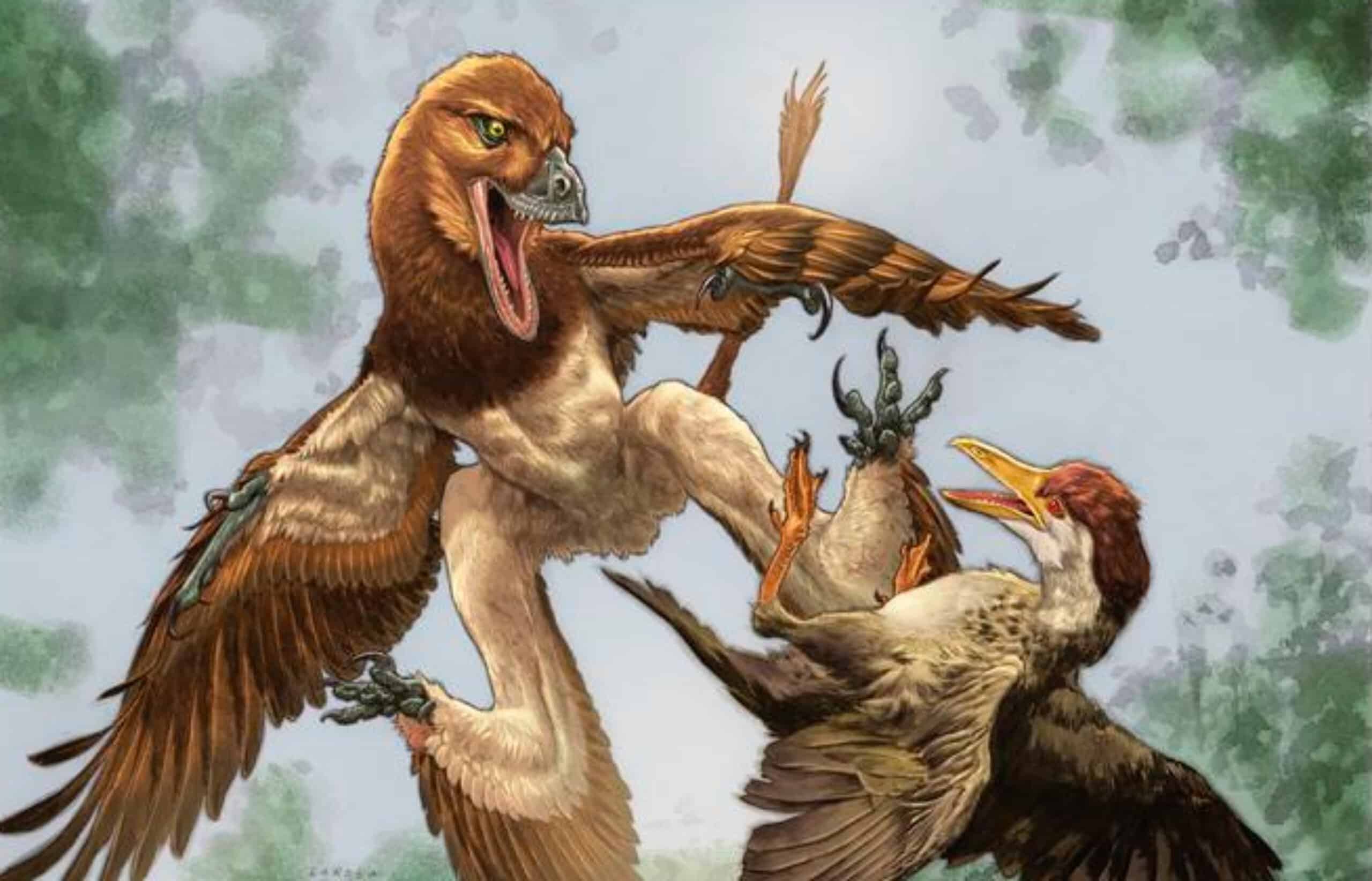 This Velociraptor's Four-Winged Cousin Hunted Birds - AOL