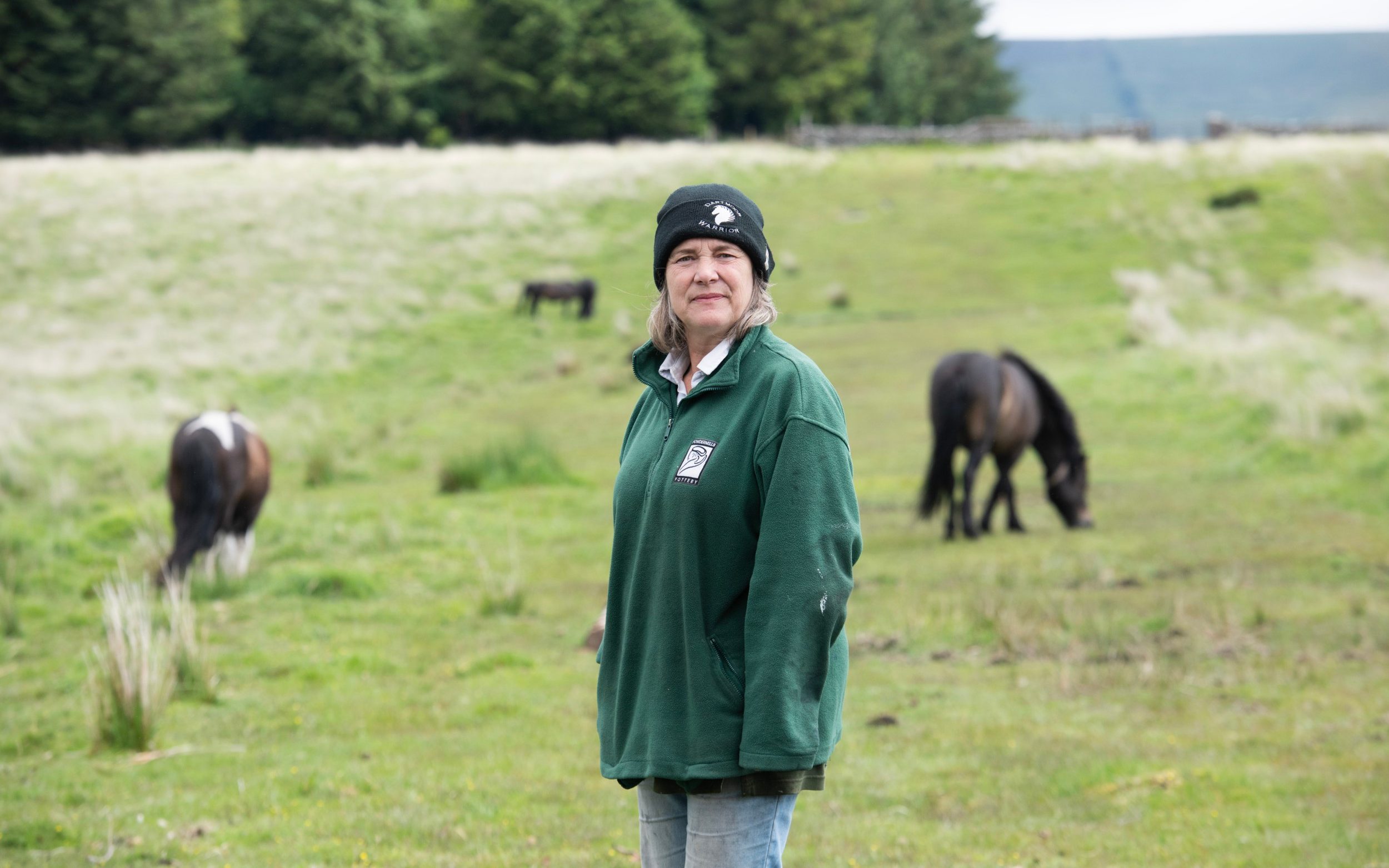 Culling ponies is the latest sign of Dartmoor’s destruction - AOL