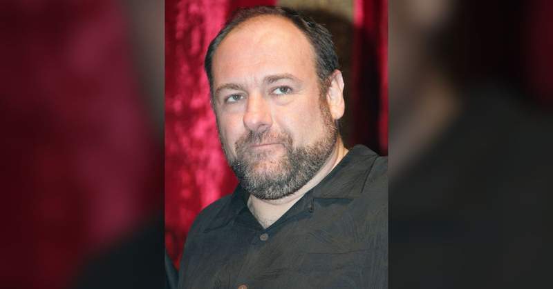 Shahi se sorprendió al encontrar a Gandolfini increíblemente atractivo. Por: Ralph Notaro / MEGA