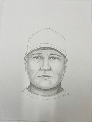 Police release sketch of man wanted in Annandale attempted abduction - AOL