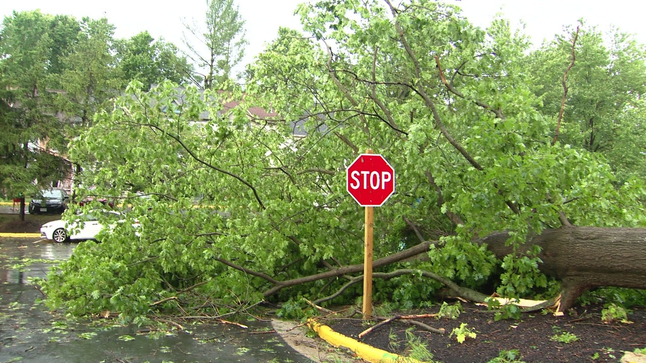 Cleanup continues across DMV after storm damage, outages as more storms ...