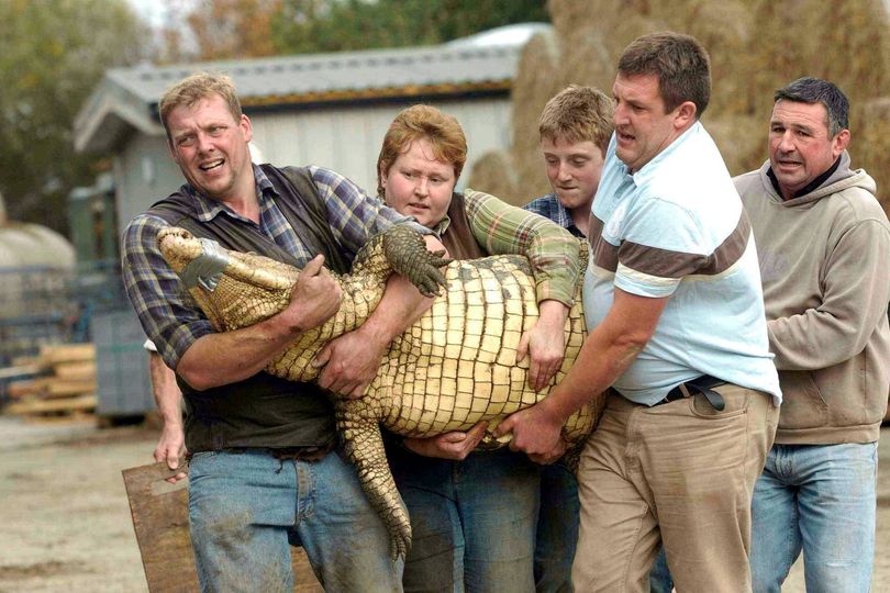 Police issue major update after boy, 3, thrown into crocodile enclosure by  man with learning disabilities - AOL