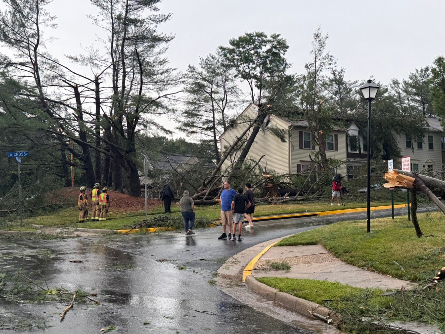 Severe storms cause power outages, knock down trees in Burke - AOL