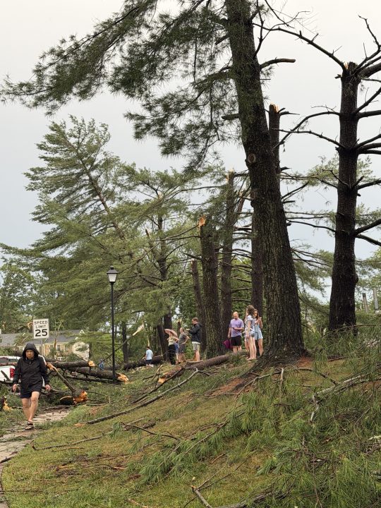 Severe storms cause power outages, knock down trees in Burke - AOL