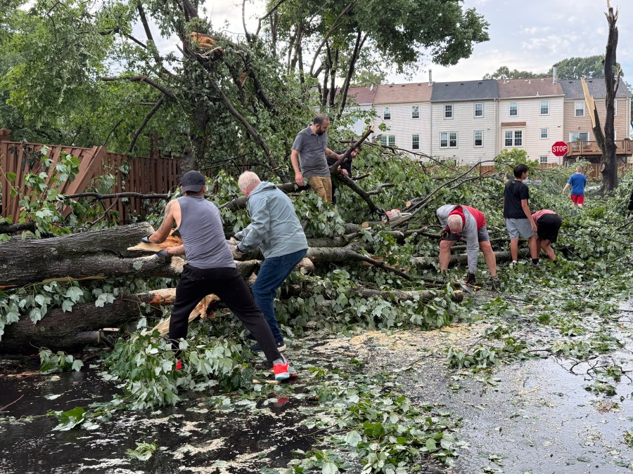 Severe storms cause power outages, knock down trees in Burke - AOL