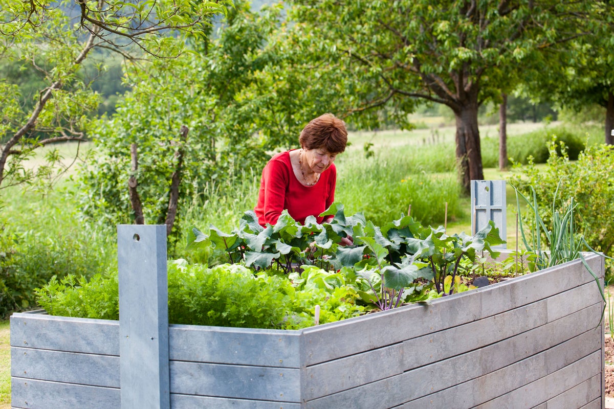 Natural Resting Position Simple ways to make gardening easier as you get older - AOL