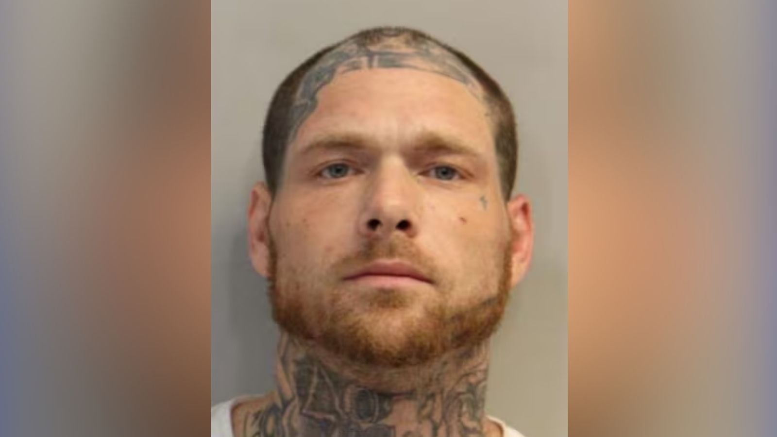 Florida Man's 100 MPH Police Chase Included Crashing Into 8 Vehicles ...