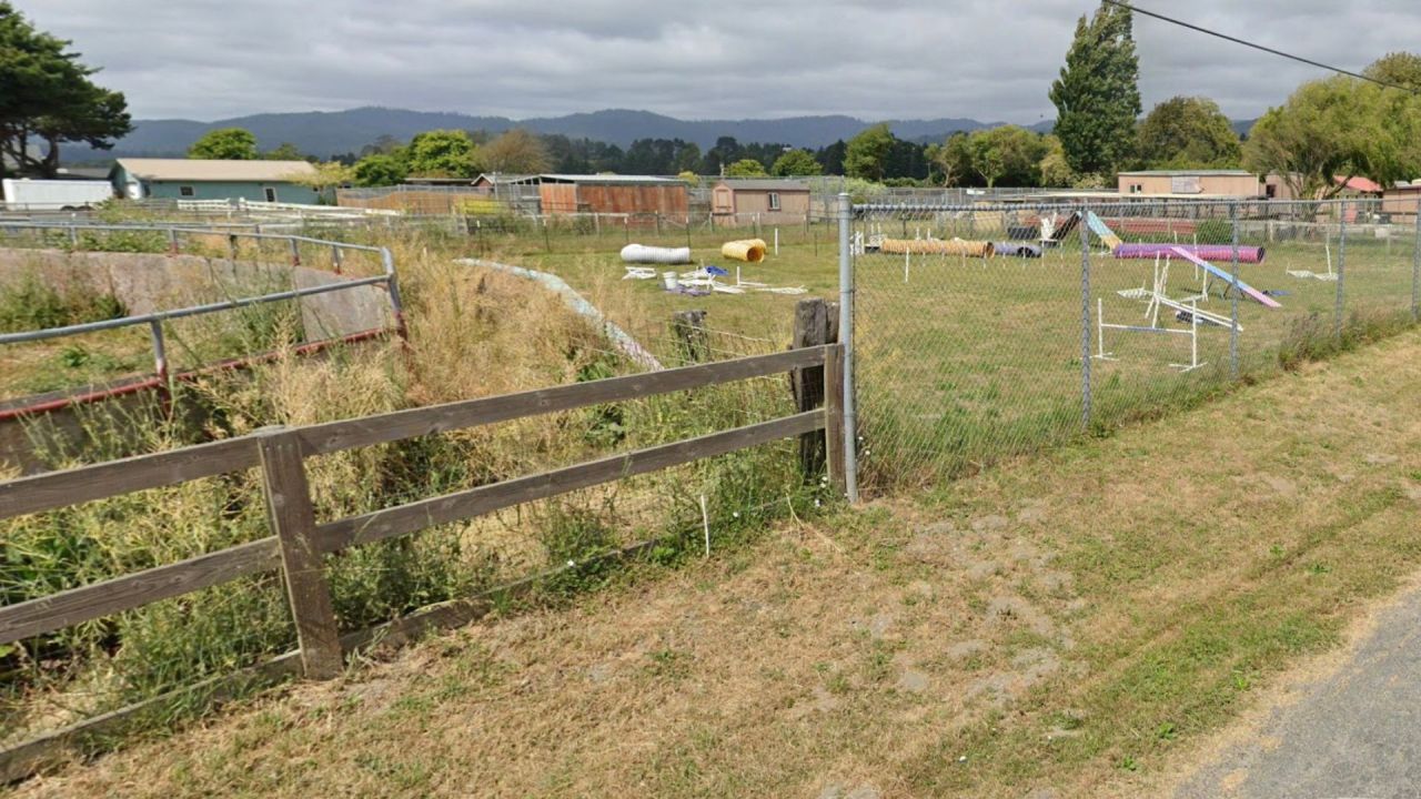 700 rescue animals missing in widening California animal cruelty, fraud ...