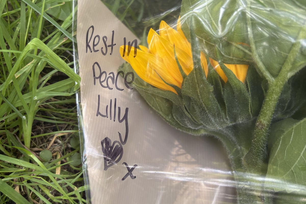 Teenager charged with murder following discovery of missing girl’s body ...