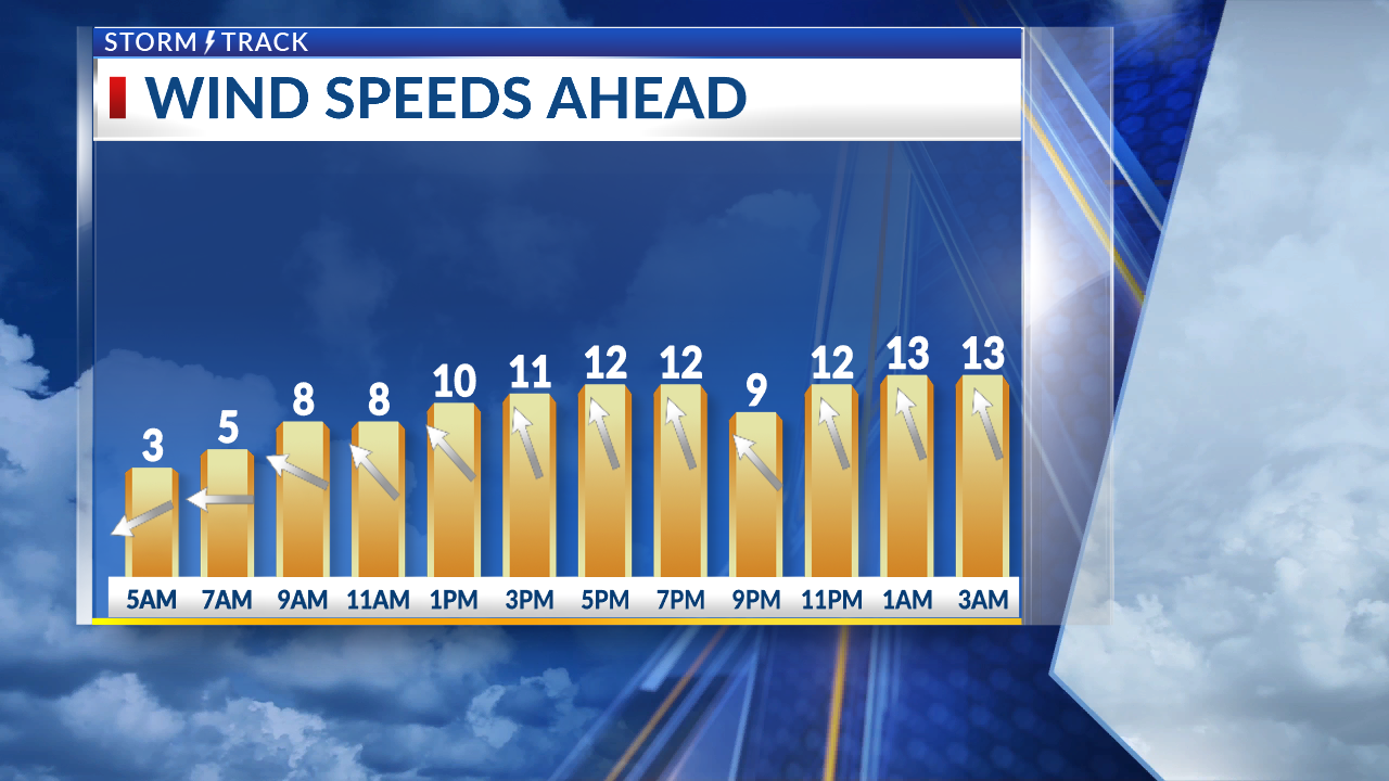 Hot and humid this weekend through next week - AOL