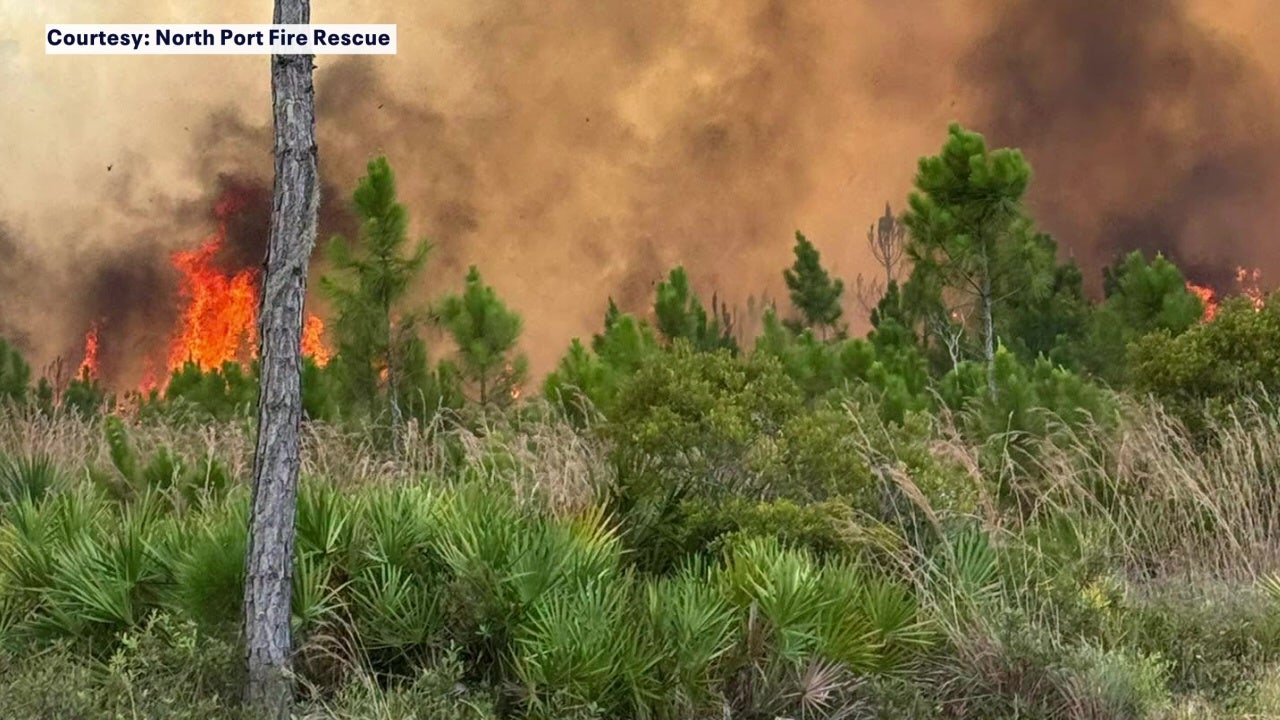 Lightning strikes ignite 80 brush fires in June across 5 Bay Area ...
