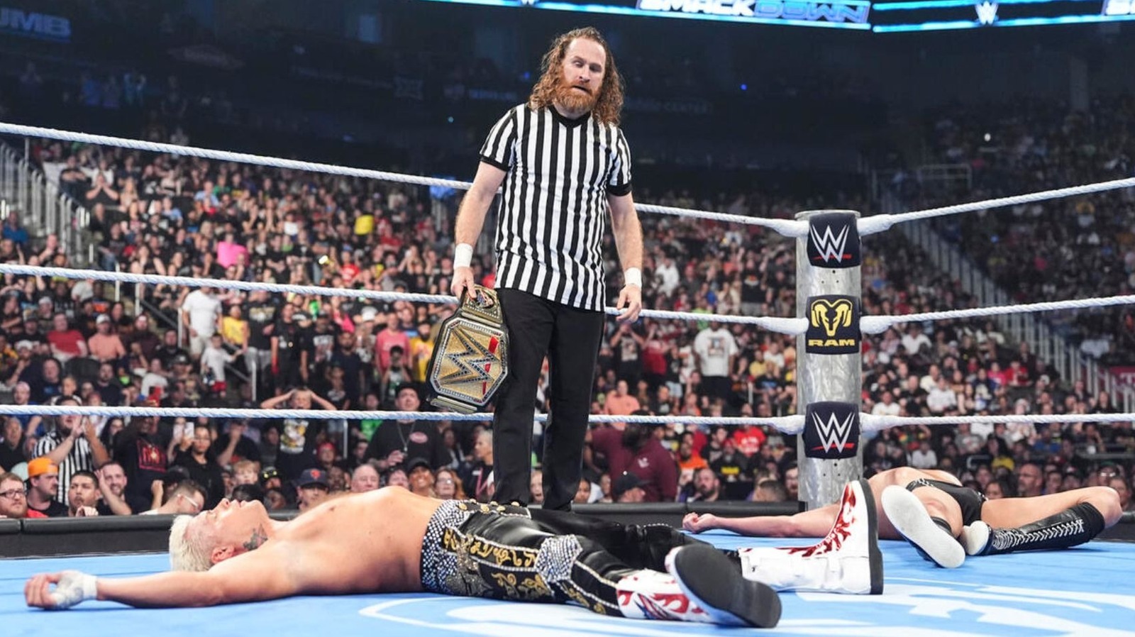 Fallen Cody Rop New York Knicks Fan Michael Cole Calls Sami Zayn The Victor Wembanyama ...