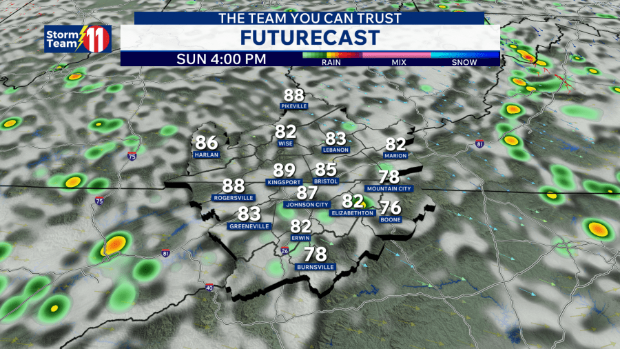 Scattered showers and storms continue through evening - AOL
