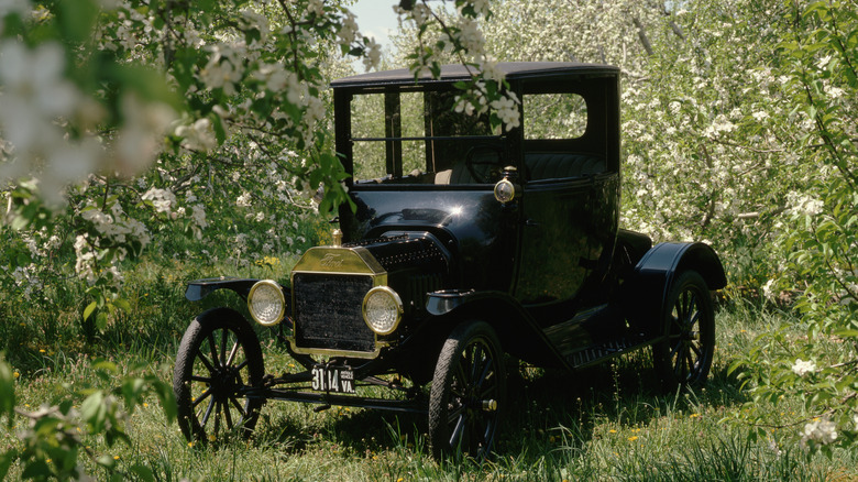 Ford Model T iz 1915. parkiran okružen rascvjetanim drvećem