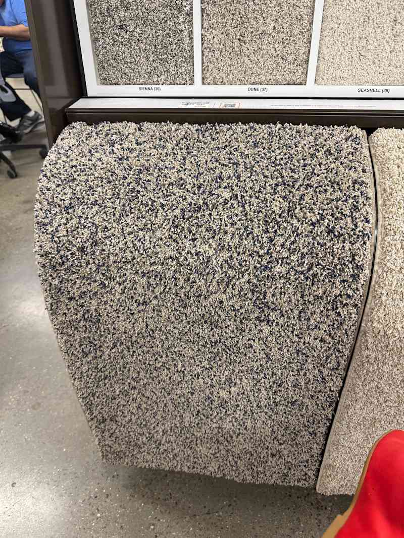 We Tested Every Carpet in The Home Depot’s Home Decorators Collection ...