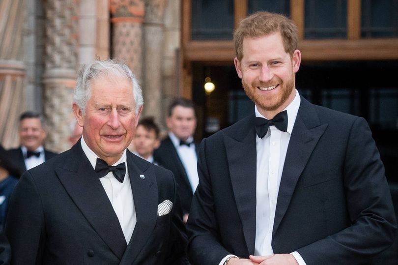 King Charles and Prince Harry