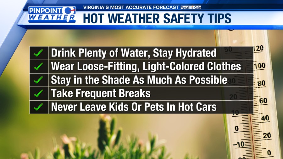 Pinpoint Weather: Heat builds through the week - AOL