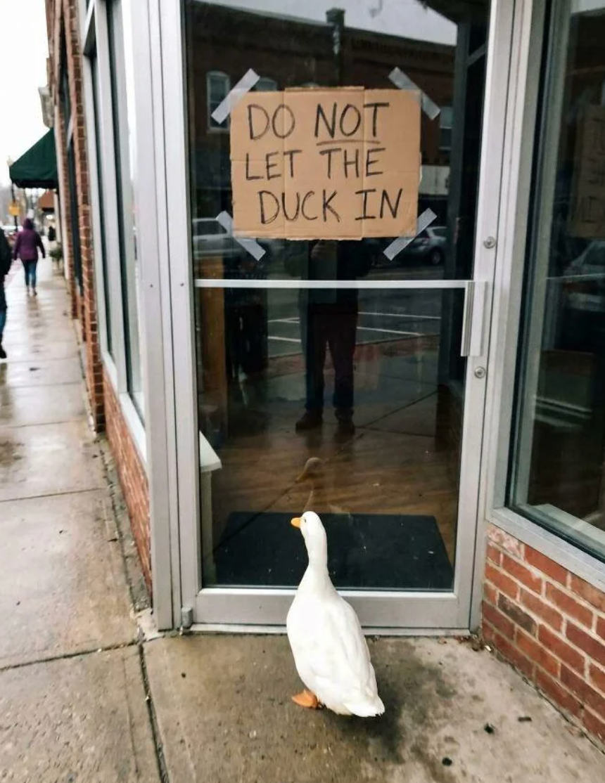 These Hilarious Signs Are The Perfect Way To Start Your Week - AOL