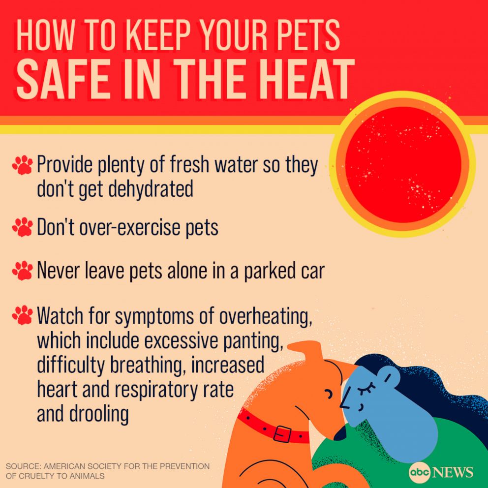 How to stay safe in extreme heat as dangerous temps hit US - AOL
