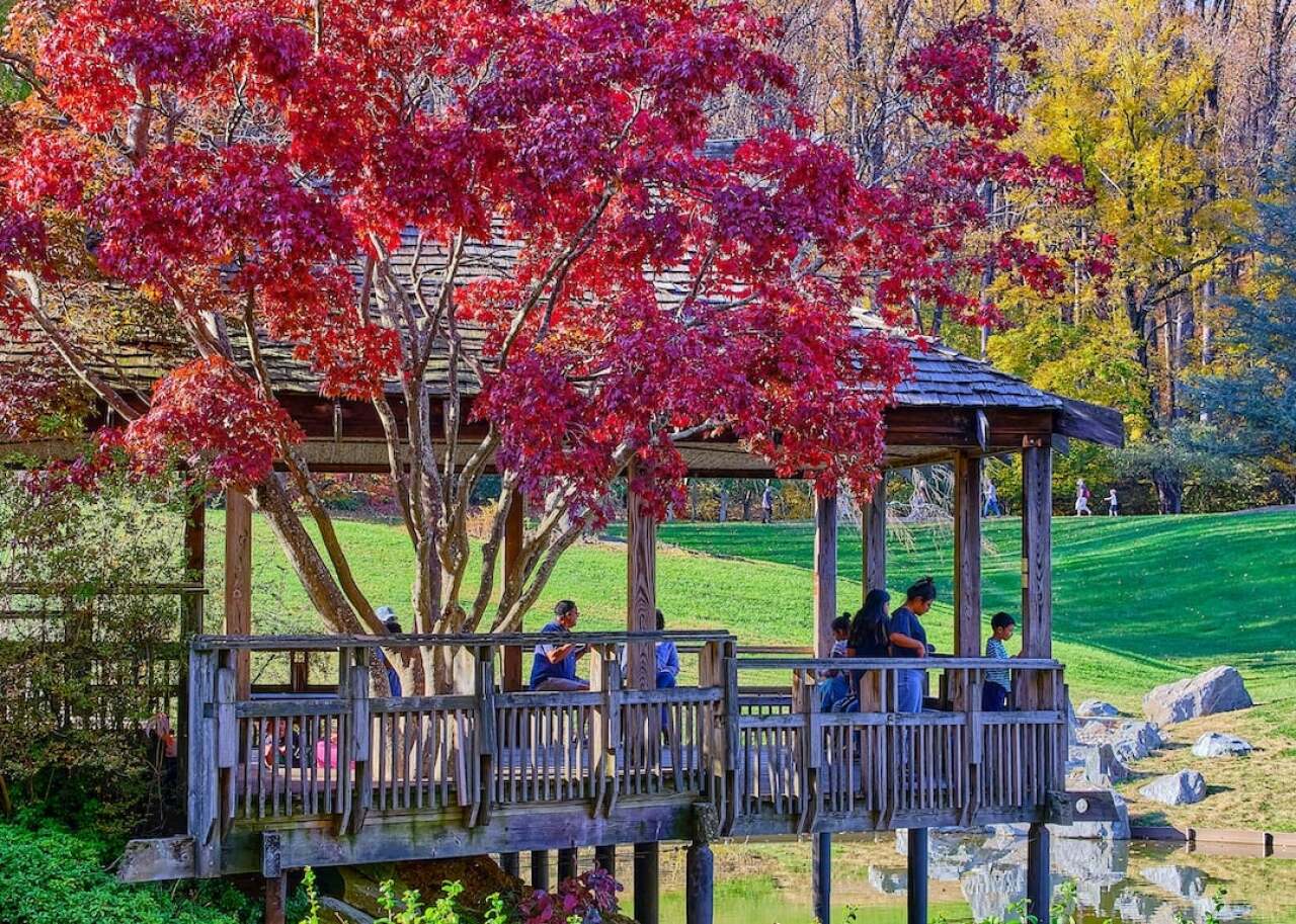 The Brookside Gardens in Wheaton, Maryland, near Four Corners. -