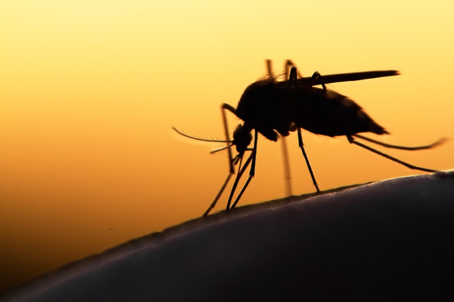 Photo: aol.com New York Confirms First Case of Rare Bourbon Virus in Suffolk County