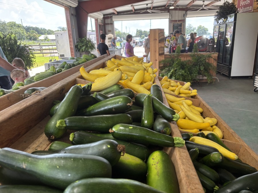 Business booming at Lillian farmers market ahead of the Fourth of July ...