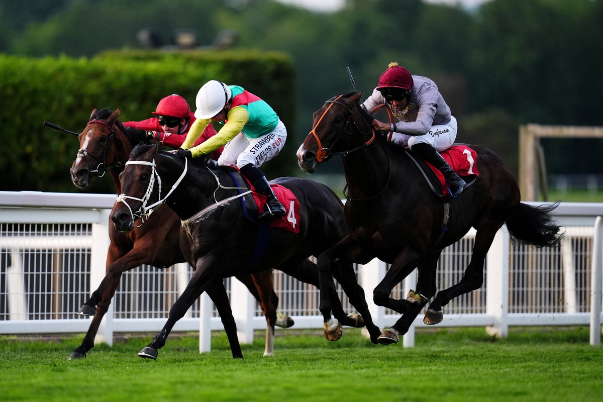 New Photo - Saturday’s racing tips: Best bets and odds on Coral Eclipse Day at Sandown