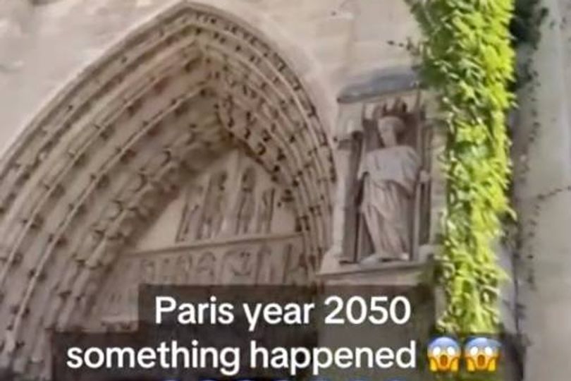 Vines growing over the Notre Dame Cathedral in Paris