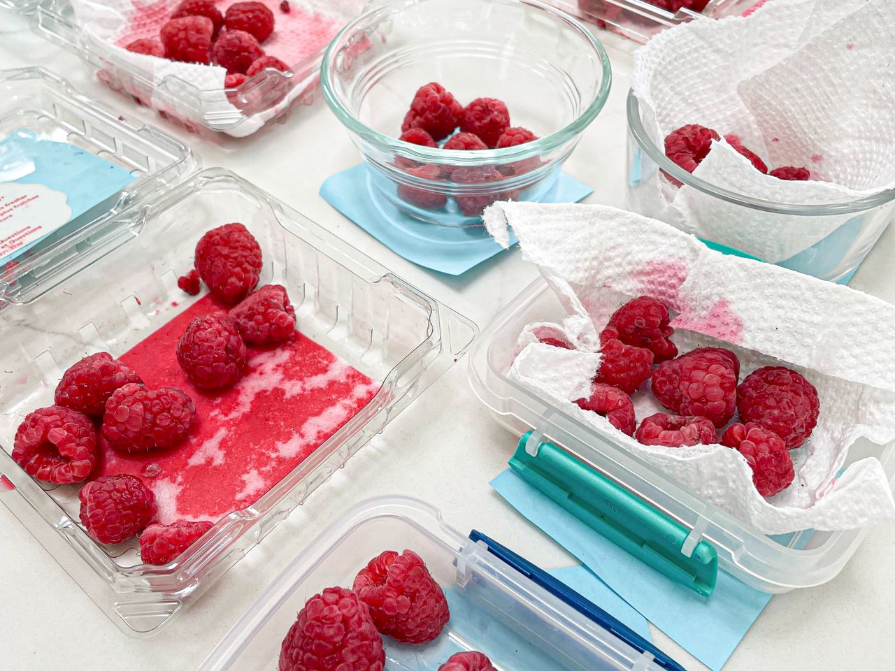 We Tested 12 Ways to Store Raspberries—These 3 Kept Them Fresh for a ...