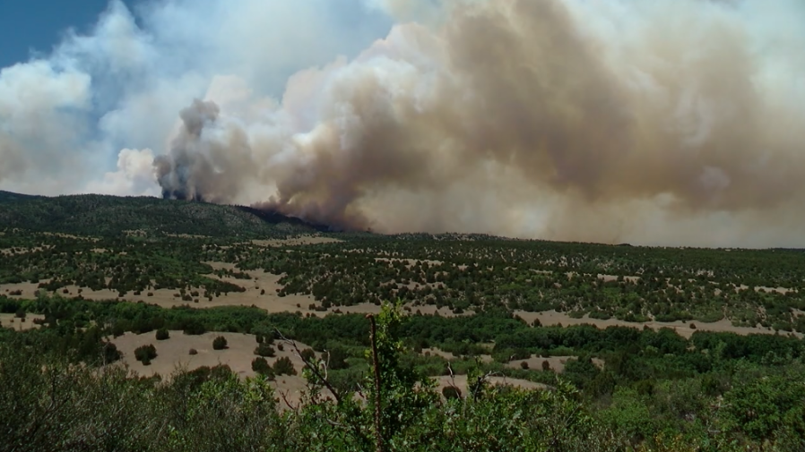 Aspen Acres Fire