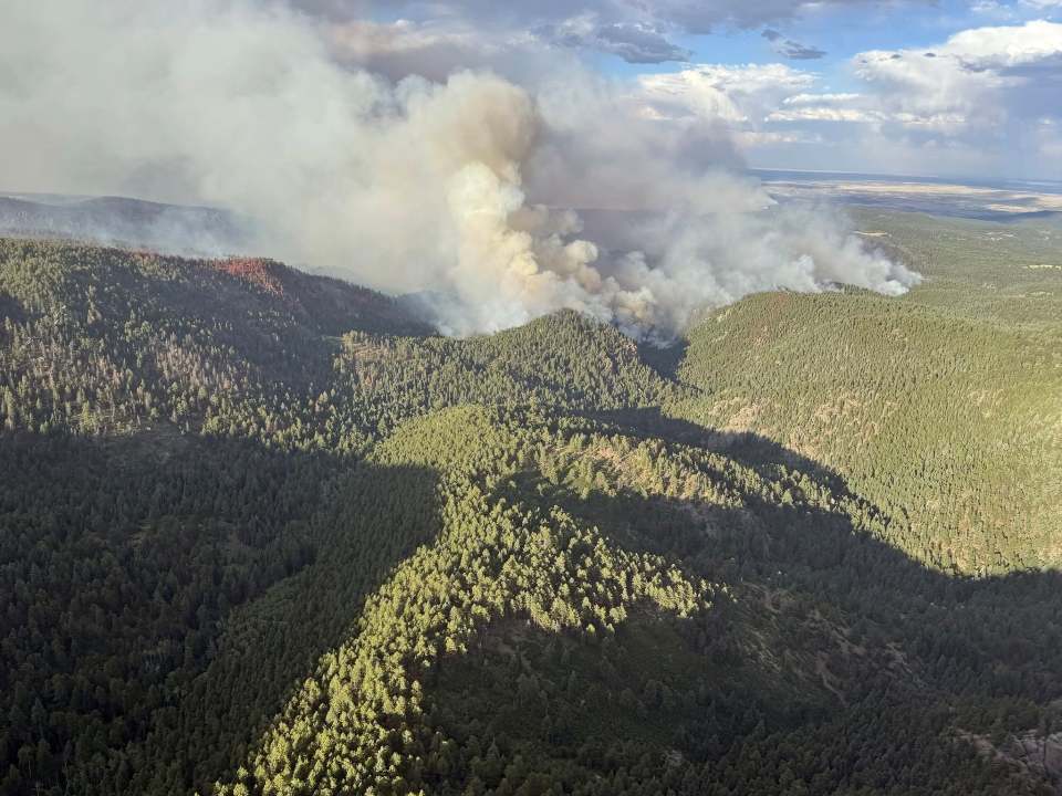 Aspen Acres Fire