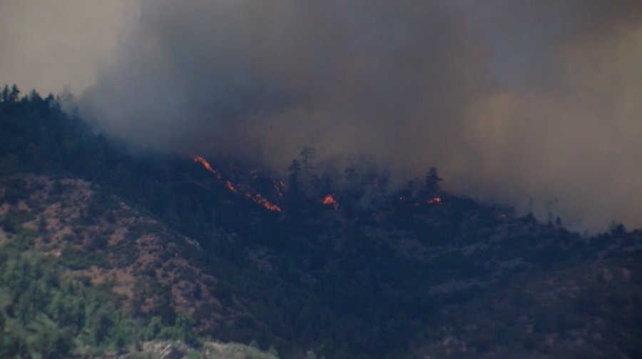 Aspen Acres Fire