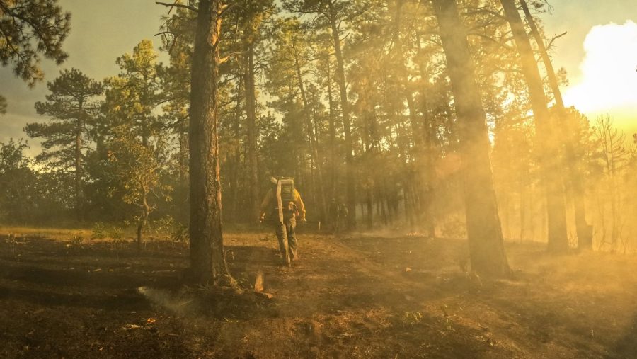 Aspen Acres Fire