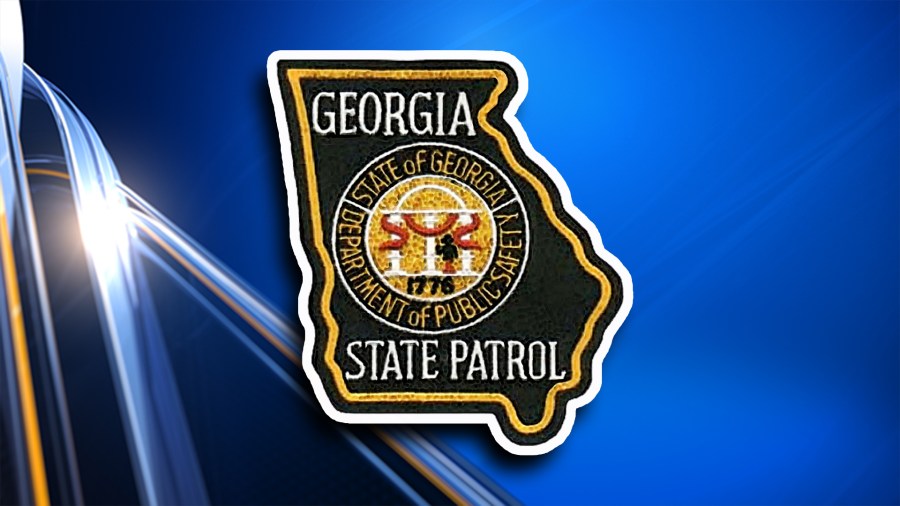 Georgia Department of Public Safety share early travel activity numbers ...