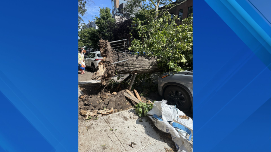 Severe storms leave downed trees, power outages throughout NY, NJ - AOL
