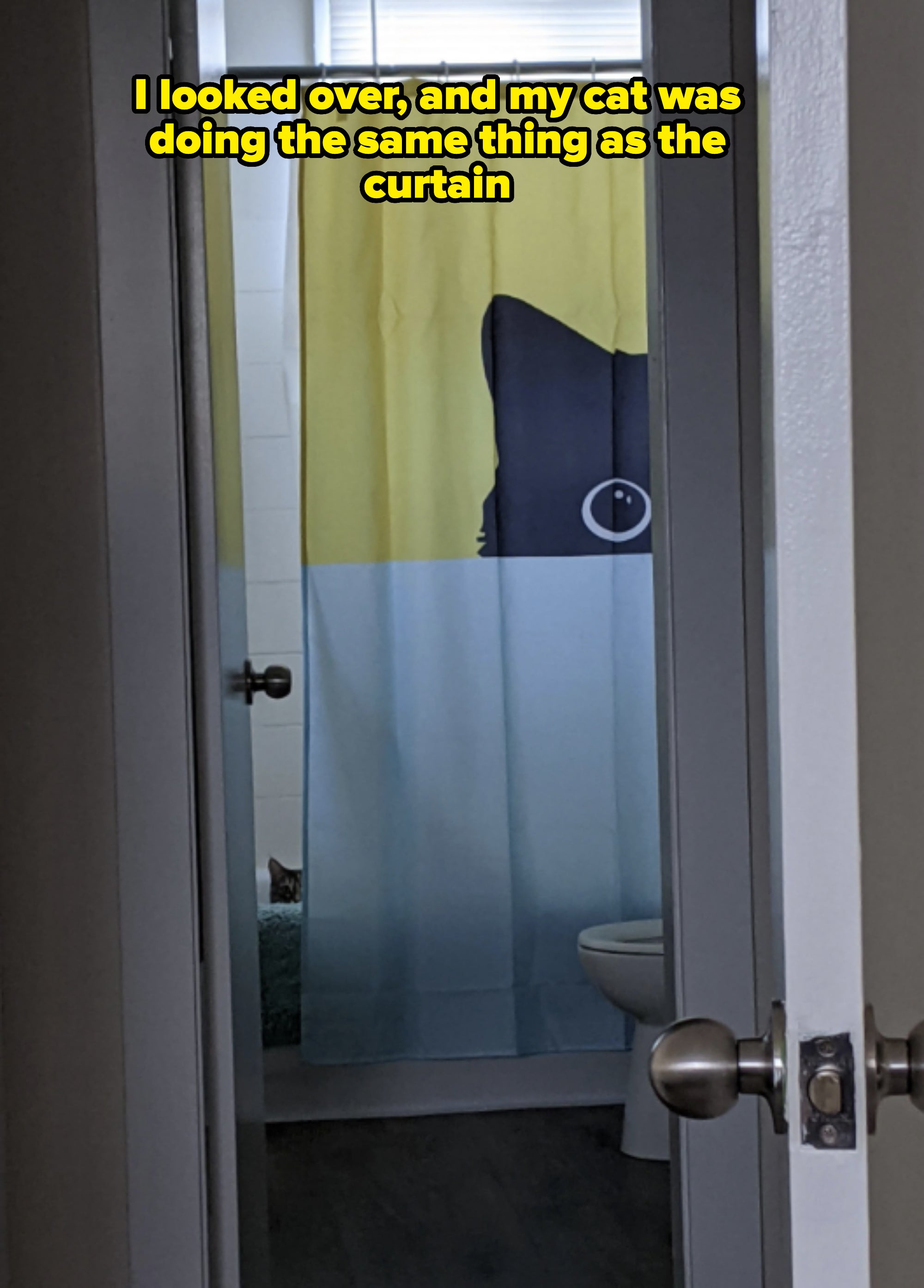 A cat shower curtain partially hides a cat peeking from the bathtub area in a bathroom seen through a partially open door