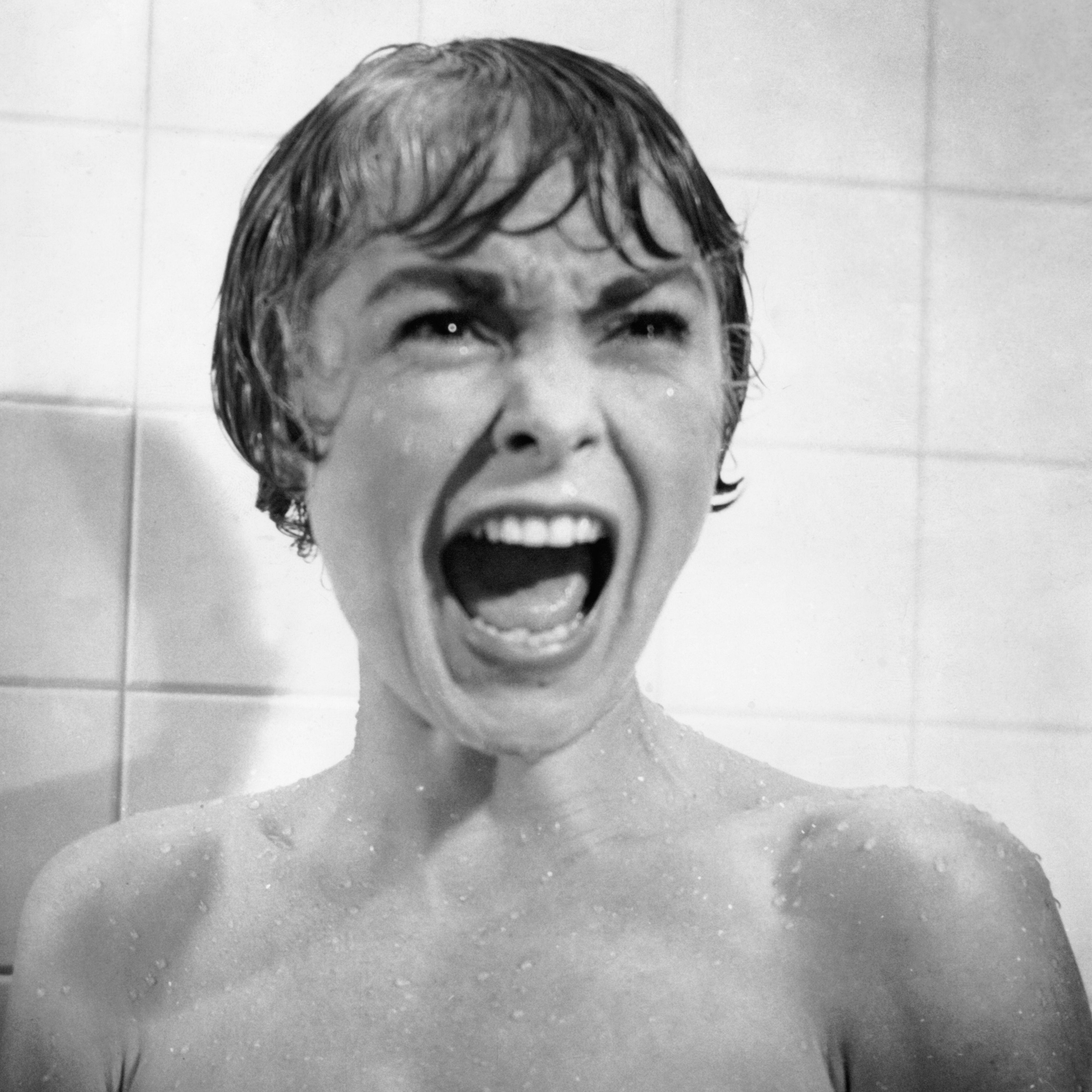 Janet Leigh in