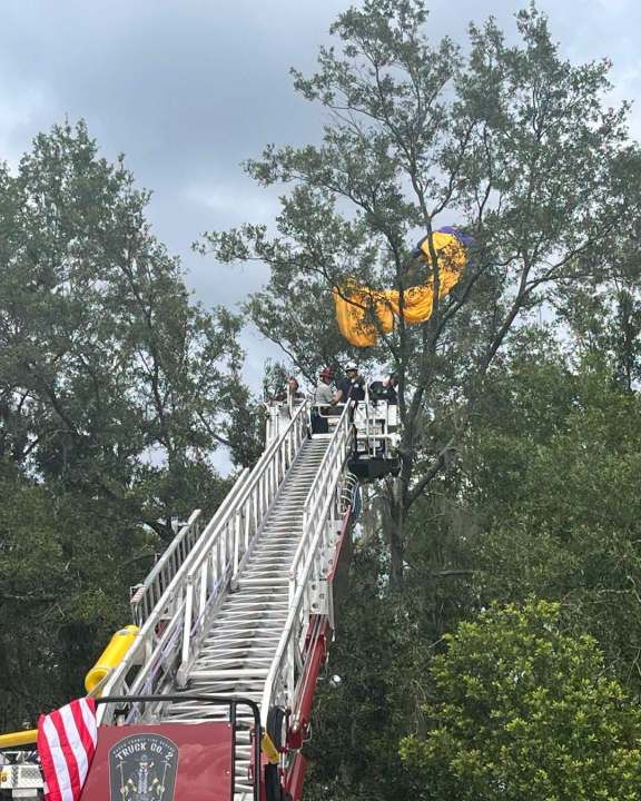 Skydiver Rescued PHOTOS: Skydiver rescued from Pasco County tree after getting stuck ...