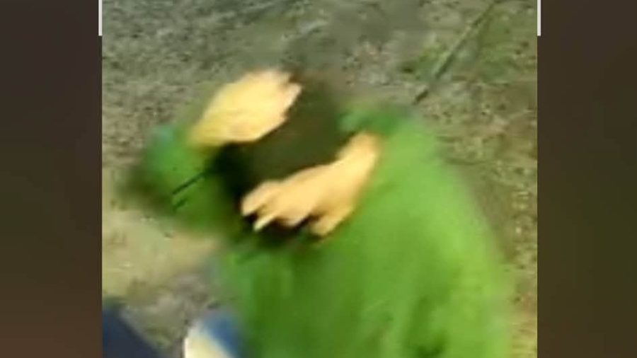 Caught on camera: Burglar steals safe from Cascade Locks fish market ...