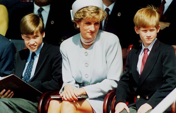 Princess Diana's wish for Prince William and Prince Harry shared in ...