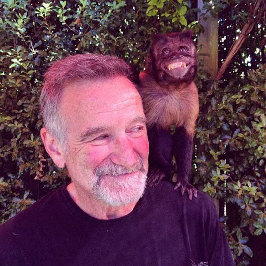 Un hombre sonriente con cabello gris y barba se encuentra al aire libre con un mono sonriente posado en su hombro, rodeado de follaje verde.