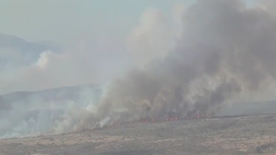Camp Pendleton brush fire grows to over 1,000 acres - AOL