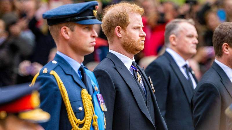 Prince Harry and Prince William won't meet during the Duke of Sussex's U.K. trip this week.MEGA